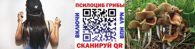 Псилоцибиновые грибы ЛСД  где купить наркоту  Красноуфимск 