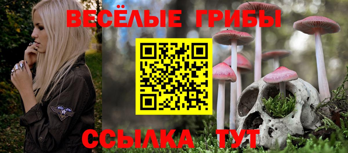 Псилоцибиновые грибы Cubensis Красноуфимск