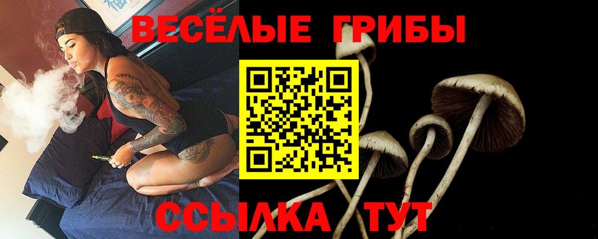 Красноуфимск  Галлюциногенные грибы Cubensis  Вход с VPN 