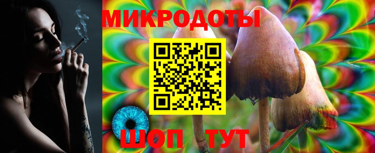 Галлюциногенные грибы Psilocybine cubensis Красноуфимск